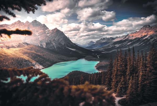 Scenic photo of a lake surrounded by trees